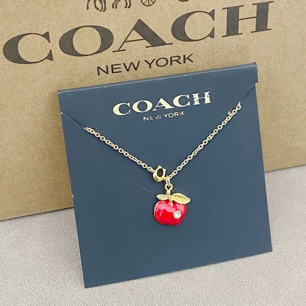 Coach Sculpted Necklace